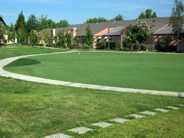 Artificial Grass Photos: Putting Greens Santa Monica California Fake Grass  Landscape